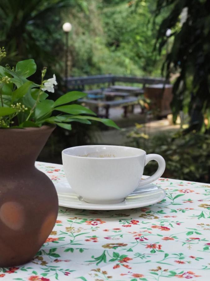 Chomklong Experience Bed and Breakfast Pak Chong Εξωτερικό φωτογραφία