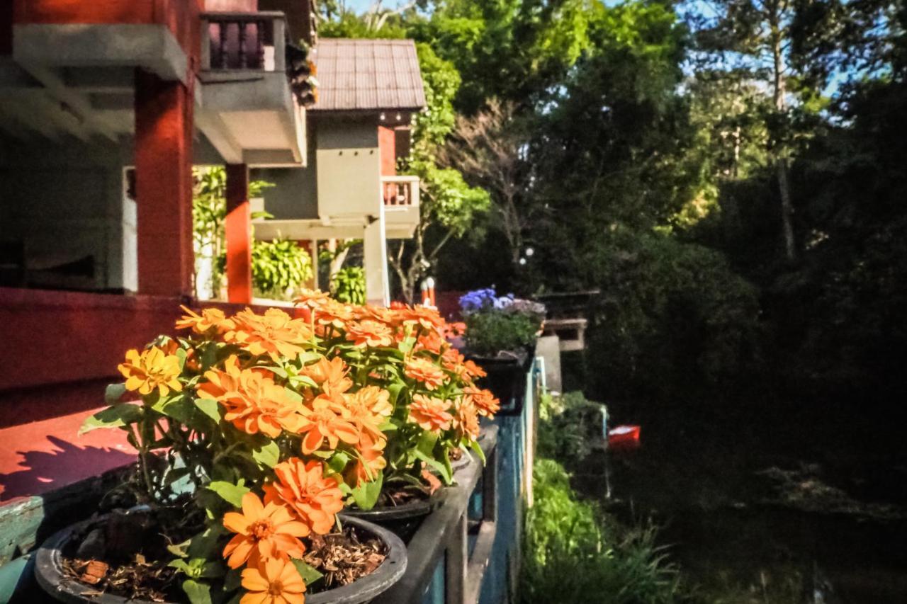 Chomklong Experience Bed and Breakfast Pak Chong Εξωτερικό φωτογραφία